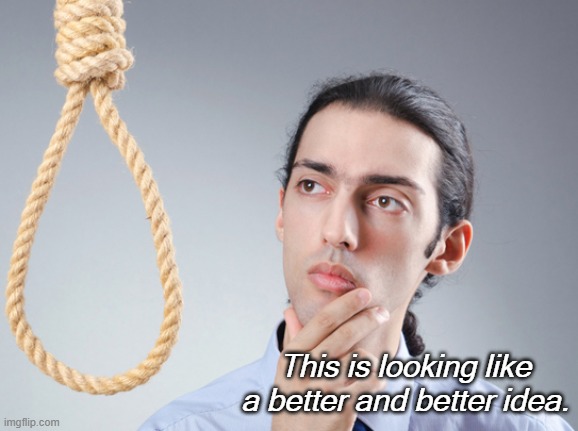 This is looking like a better and better idea. | image tagged in noose | made w/ Imgflip meme maker