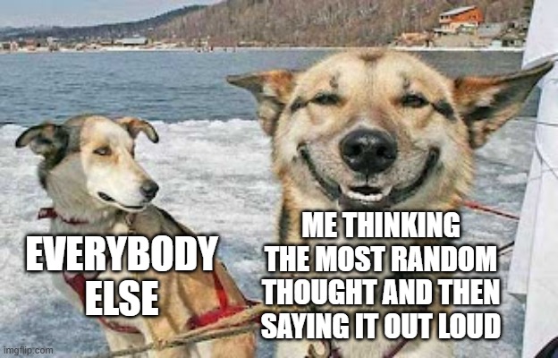 story of my life | EVERYBODY ELSE; ME THINKING THE MOST RANDOM THOUGHT AND THEN SAYING IT OUT LOUD | image tagged in memes,original stoner dog | made w/ Imgflip meme maker
