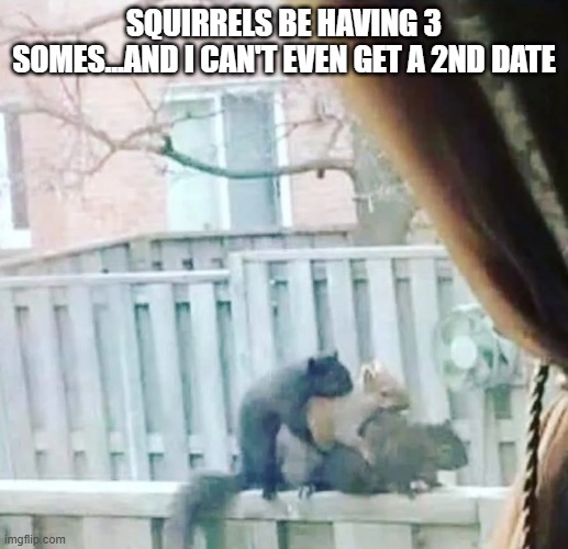 No Dates | SQUIRRELS BE HAVING 3 SOMES...AND I CAN'T EVEN GET A 2ND DATE | image tagged in sex jokes | made w/ Imgflip meme maker