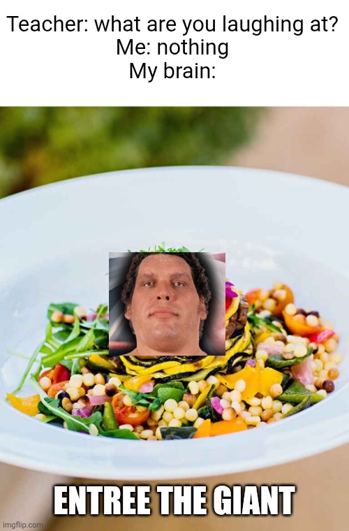 Andrè the giant | Teacher: what are you laughing at?
Me: nothing
My brain:; ENTREE THE GIANT | image tagged in andre the giant,entree,food,funny,memes,celebrities | made w/ Imgflip meme maker