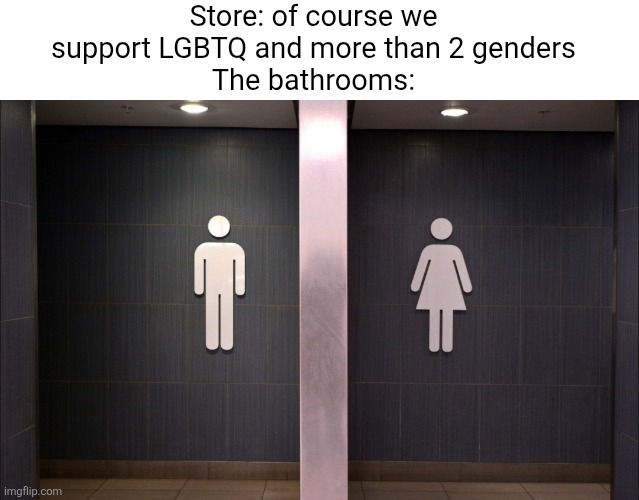 Common L in LGBTQ | Store: of course we support LGBTQ and more than 2 genders
The bathrooms: | image tagged in lgbtq,bathrooms,funny,relatable,transgender,memes | made w/ Imgflip meme maker