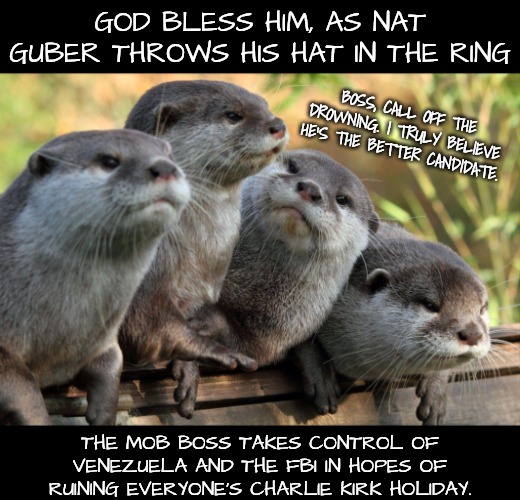 GOD BLESS HIM, AS NAT GUBER THROWS HIS HAT IN THE RING THE MOB BOSS TAKES CONTROL OF VENEZUELA AND THE FBI IN HOPES OF RUINING EVERYONE'S CH | image tagged in otters | made w/ Imgflip meme maker