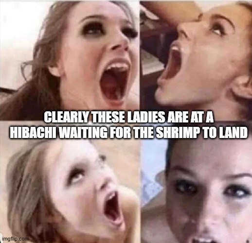 Hibachi Shrimp | CLEARLY THESE LADIES ARE AT A HIBACHI WAITING FOR THE SHRIMP TO LAND | image tagged in sex jokes | made w/ Imgflip meme maker