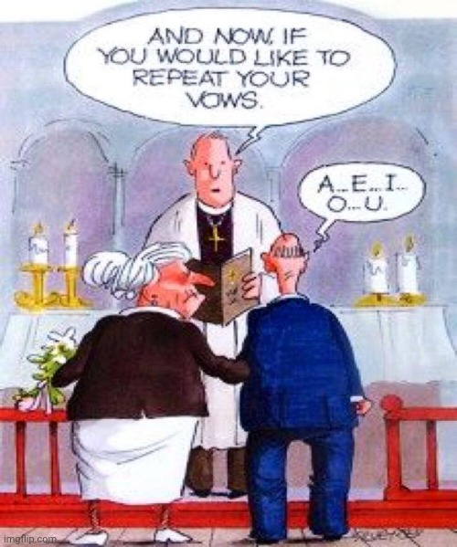 Wedding vow...els | image tagged in wedding vow els | made w/ Imgflip meme maker