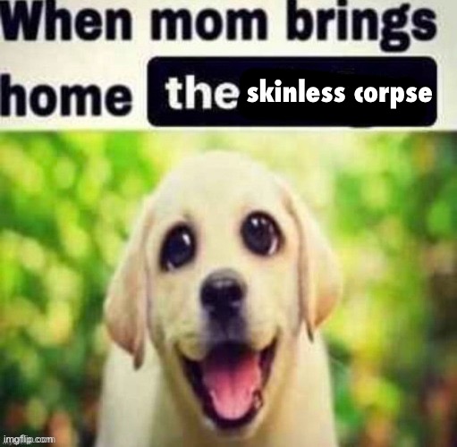 skinless corpse | made w/ Imgflip meme maker