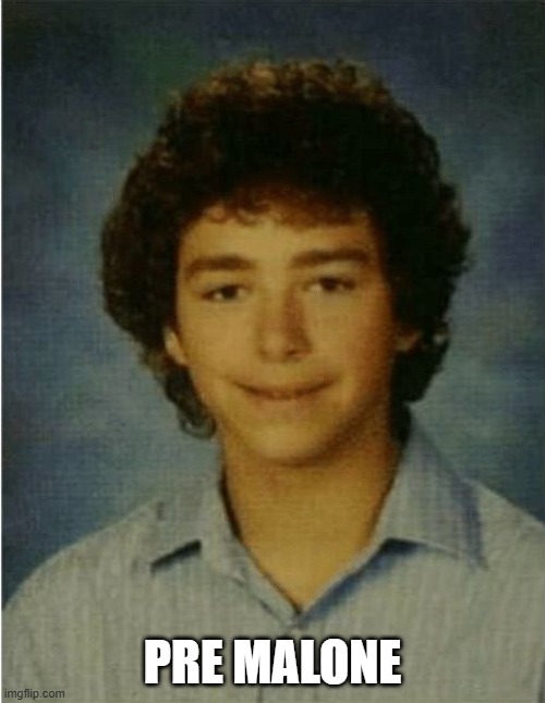 Pre Malone | PRE MALONE | image tagged in music | made w/ Imgflip meme maker