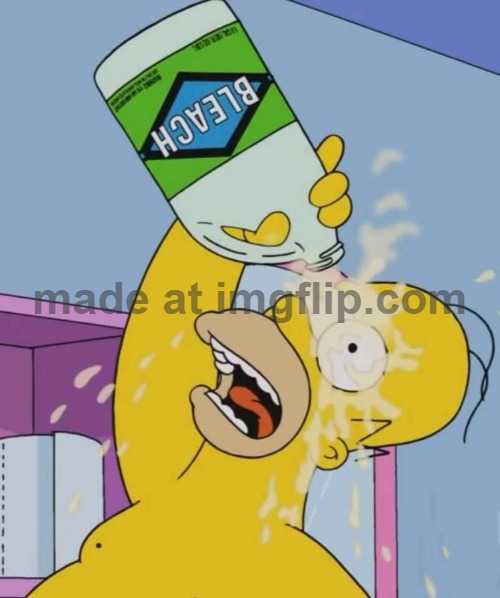image tagged in homer with bleach | made w/ Imgflip meme maker