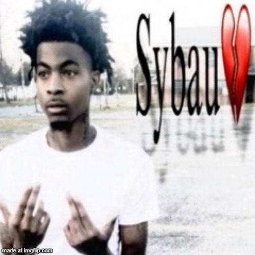 Sybau | image tagged in sybau | made w/ Imgflip meme maker