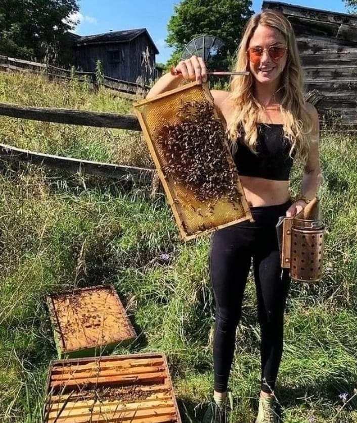 Girl Beekeep Blank Meme Template