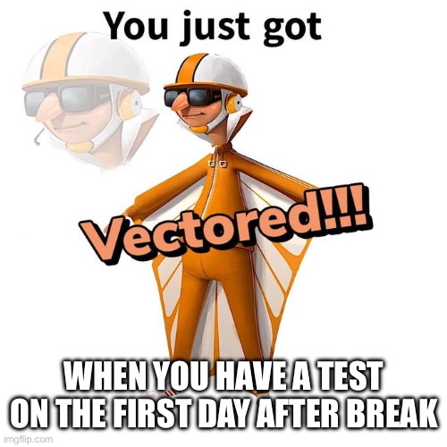 You just got Vectored | WHEN YOU HAVE A TEST ON THE FIRST DAY AFTER BREAK | image tagged in you just got vectored | made w/ Imgflip meme maker