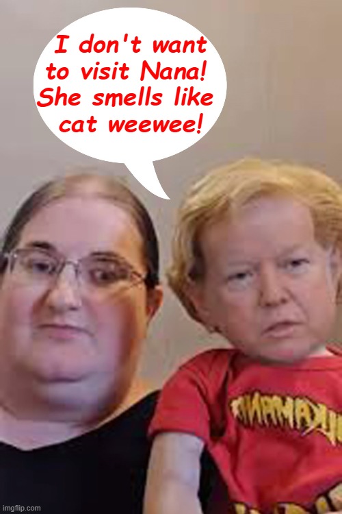 I don't want
to visit Nana! 
She smells like 
cat weewee! | made w/ Imgflip meme maker