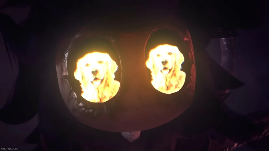 Doggy eyes :3 | image tagged in doggy eyes 3 | made w/ Imgflip meme maker