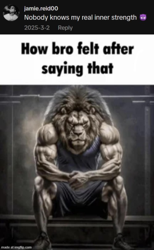 , | image tagged in how bro felt after saying that | made w/ Imgflip meme maker
