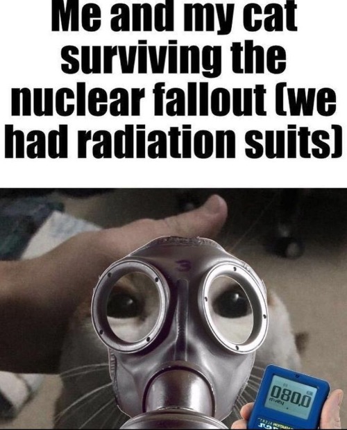 do y'all ever find those autismcore ass posts with the girl having hair dye n stickers n piercings n shit | made w/ Imgflip meme maker