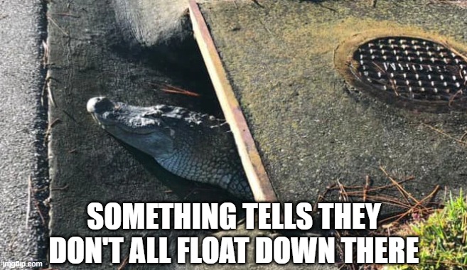 Gator IT | SOMETHING TELLS THEY DON'T ALL FLOAT DOWN THERE | image tagged in funny,memes | made w/ Imgflip meme maker