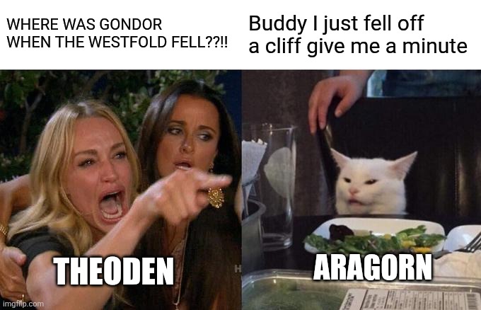 Woman Yelling At Cat | WHERE WAS GONDOR WHEN THE WESTFOLD FELL??!! Buddy I just fell off a cliff give me a minute; ARAGORN; THEODEN | image tagged in memes,woman yelling at cat | made w/ Imgflip meme maker