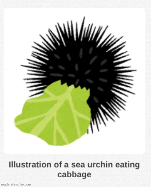 in what situation would I need to use this | made w/ Imgflip meme maker