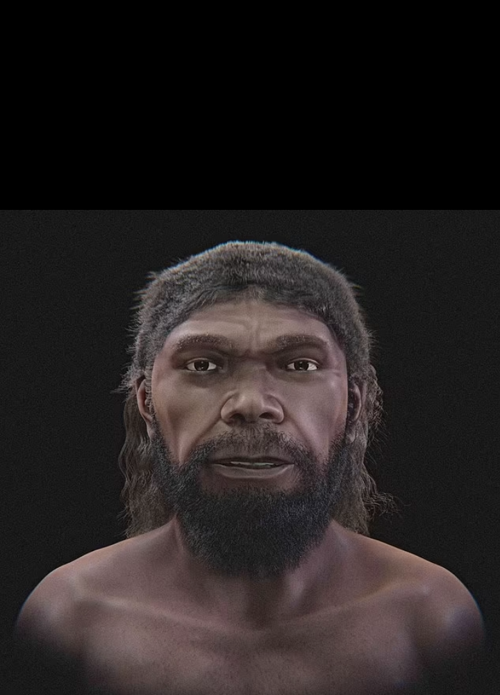 Cave Man Blank Meme Template