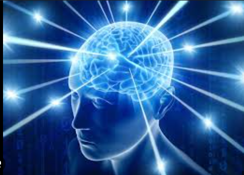 big brain Blank Meme Template