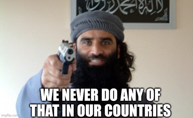 WE NEVER DO ANY OF THAT IN OUR COUNTRIES | image tagged in islam terrorist | made w/ Imgflip meme maker