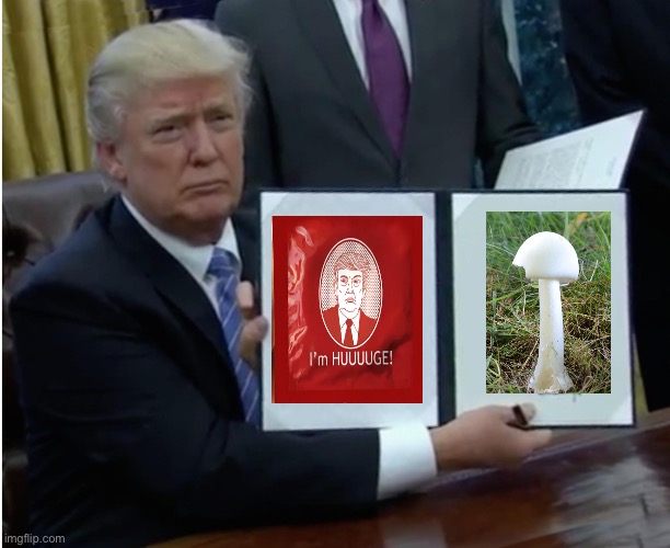 Trump bill | image tagged in trump bill | made w/ Imgflip meme maker