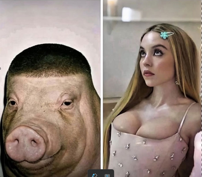 Couple Blank Meme Template