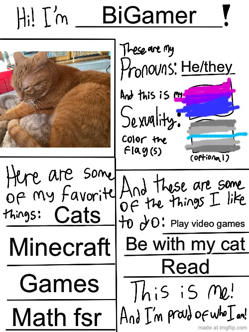 Don’t feel comfortable showing my face so this my cat | BiGamer; He/they; Cats; Play video games; Minecraft; Be with my cat; Read; Games; Math fsr | image tagged in lgbtq stream account profile,cats,cat,lgbtq,lgbt,bisexual | made w/ Imgflip meme maker
