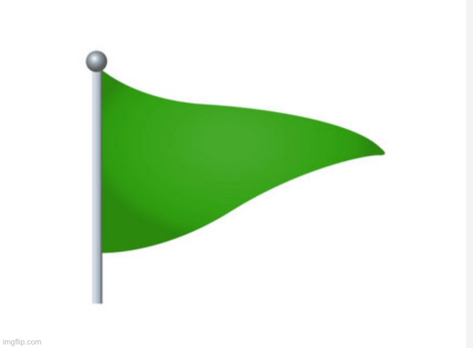 green flag | image tagged in green flag | made w/ Imgflip meme maker