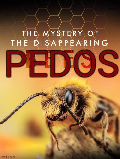 DISSAPEARING BEES | PEDOS | image tagged in dissapearing bees | made w/ Imgflip meme maker