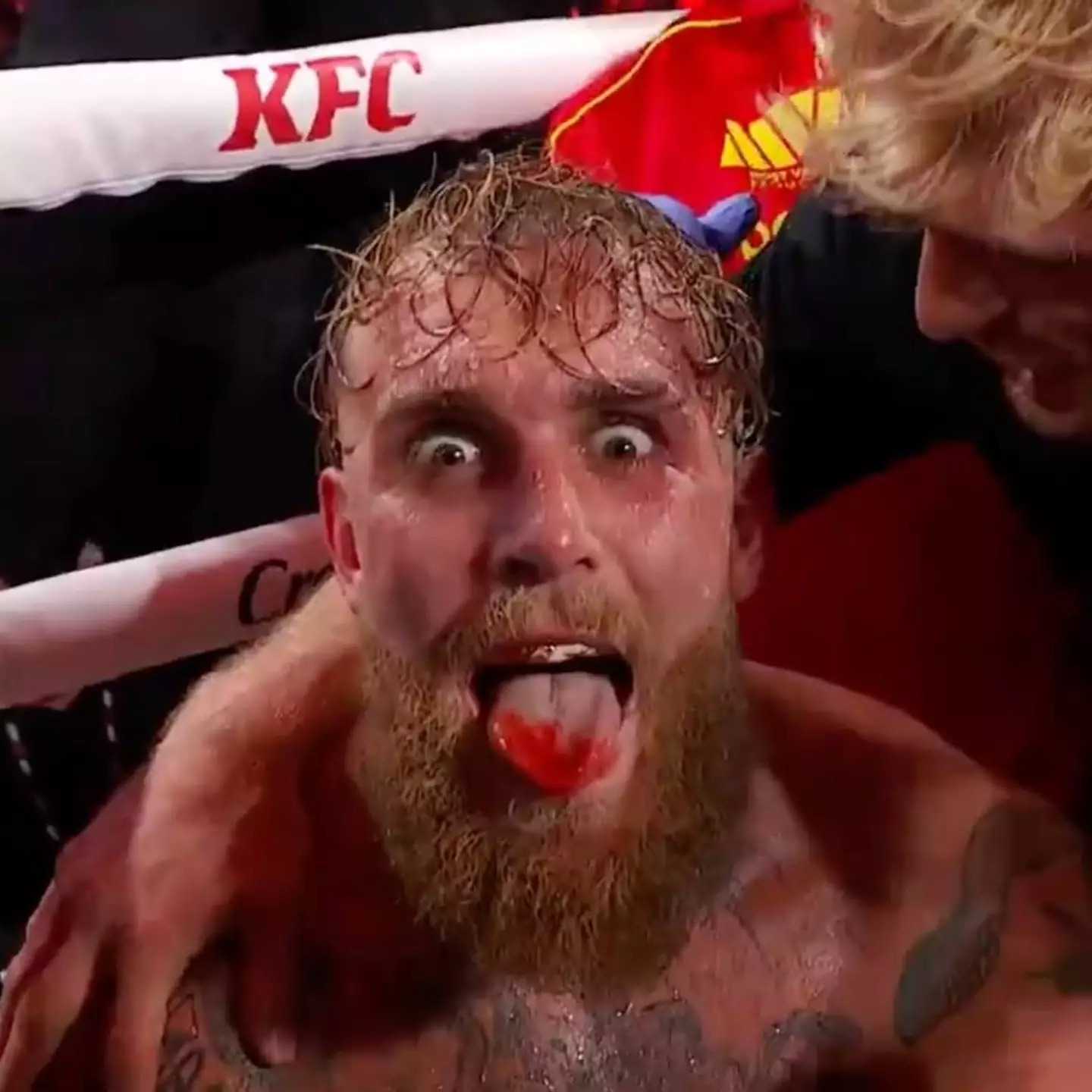 Paul nut huggers be like Blank Meme Template