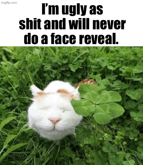 No one asked for one but whatever. | I’m ugly as shit and will never do a face reveal. | made w/ Imgflip meme maker