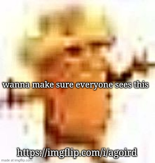 a message to real him bo | wanna make sure everyone sees this; https://imgflip.com/i/agoird | image tagged in the lowrax | made w/ Imgflip meme maker