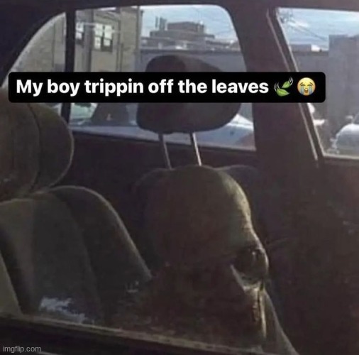 similarly to last post, what's the hype around sammy? mewo and soap made it pretty clear she's an asshole. | made w/ Imgflip meme maker