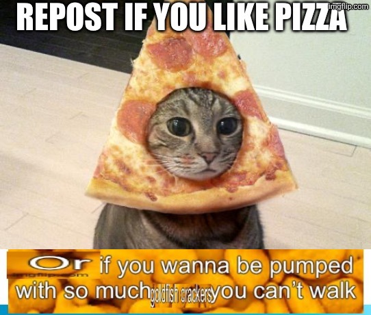 Goldfish crackers | image tagged in pizza repost | made w/ Imgflip meme maker