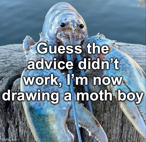 The Blue Lobster | Guess the advice didn’t work, I’m now drawing a moth boy; (If you guys ask me to draw femboys I’ll strangle you) | image tagged in the blue lobster | made w/ Imgflip meme maker