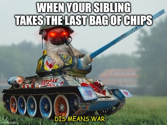 Army pug | WHEN YOUR SIBLING TAKES THE LAST BAG OF CHIPS; DIS MEANS WAR | image tagged in army pug | made w/ Imgflip meme maker