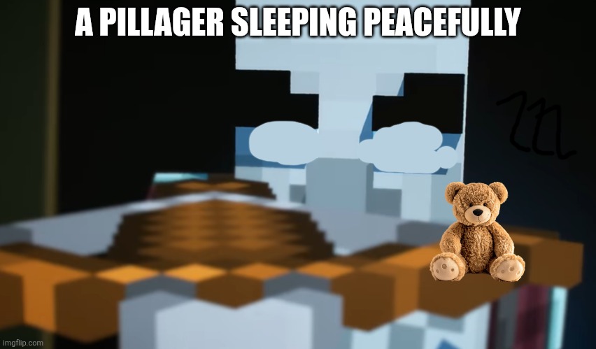 Pillager | A PILLAGER SLEEPING PEACEFULLY | image tagged in pillager | made w/ Imgflip meme maker