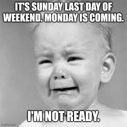 No Premier League This Weekend | IT'S SUNDAY LAST DAY OF WEEKEND. MONDAY IS COMING. I'M NOT READY. | image tagged in no premier league this weekend,monday,memes,sad,sunday | made w/ Imgflip meme maker