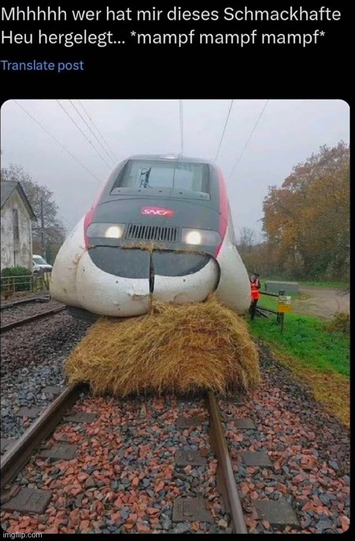 Germany | made w/ Imgflip meme maker