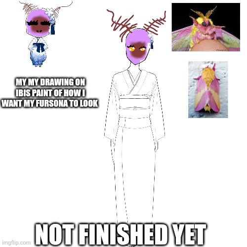 My fursona | MY MY DRAWING ON IBIS PAINT OF HOW I WANT MY FURSONA TO LOOK; NOT FINISHED YET | image tagged in furry | made w/ Imgflip meme maker