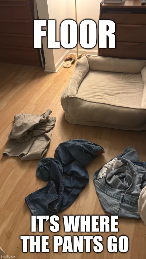 Floor | FLOOR; IT’S WHERE THE PANTS GO | image tagged in pants | made w/ Imgflip meme maker