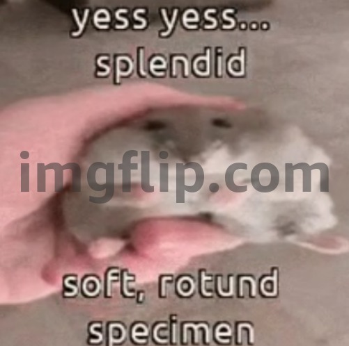 soft rotund specimen | image tagged in soft rotund specimen | made w/ Imgflip meme maker