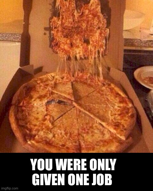 Pizza Failed Successfully | YOU WERE ONLY GIVEN ONE JOB | image tagged in you had one job,task failed successfully,pizza fail,pizza delivery man,do you are have stupid,duhhh dumbass | made w/ Imgflip meme maker