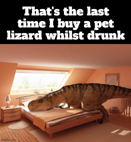 How tf did I even find a Trex in the first place????? | That's the last time I buy a pet lizard whilst drunk | image tagged in t-rex makes bed | made w/ Imgflip meme maker