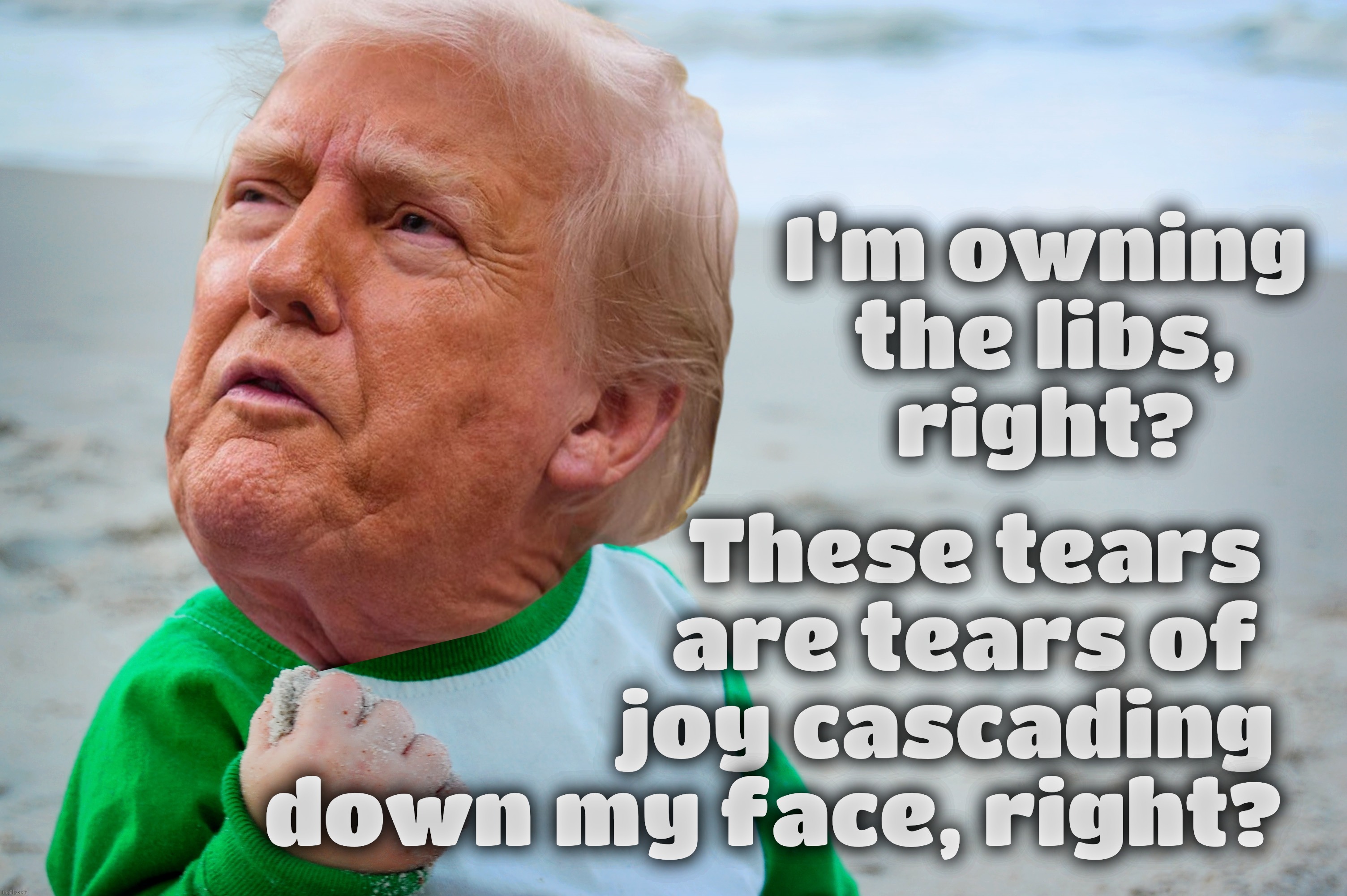 If you're happy and you know it clap your hands. If you're happy and you know it clap your hands. If you're... oh, a, it's Trump | I'm owning the libs,
right? These tears
                   are tears of
                 joy cascading
down my face, right? | image tagged in success kid,trump,trump sad,winning,whining,no matter what he does no matter what he gets he's always sad | made w/ Imgflip meme maker