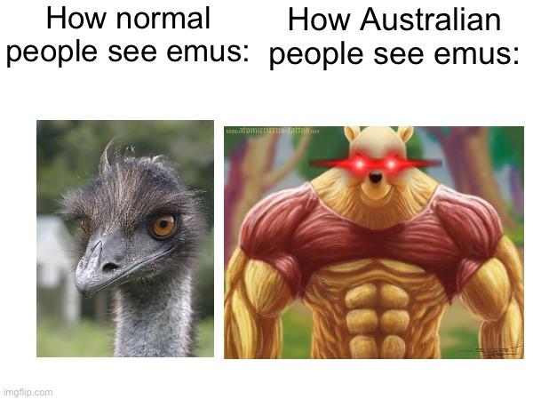Those emus were OP…. | How normal people see emus:; How Australian people see emus: | image tagged in emu,great emu war,winnie the pooh,op,australia | made w/ Imgflip meme maker