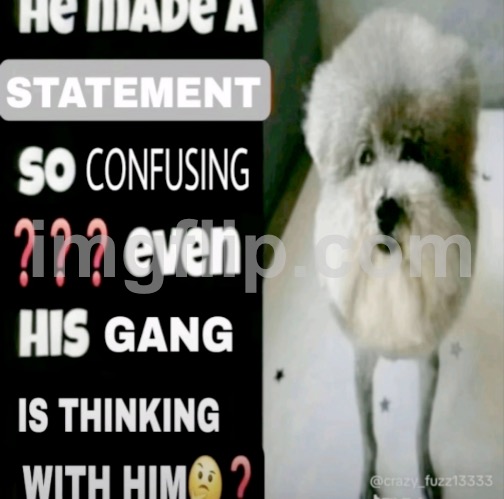 He made a statement so confusing | image tagged in he made a statement so confusing | made w/ Imgflip meme maker