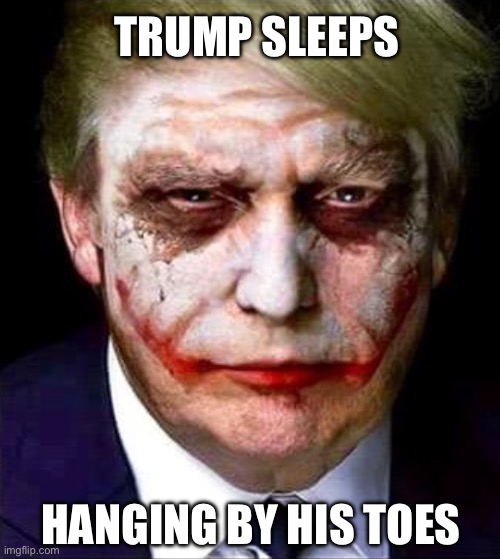 Trump Joker | TRUMP SLEEPS HANGING BY HIS TOES | image tagged in trump joker | made w/ Imgflip meme maker