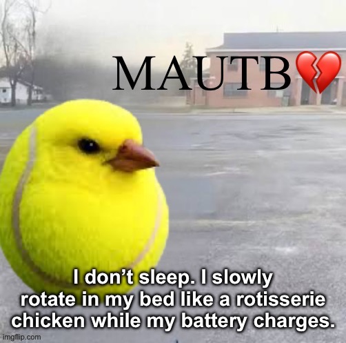 So yeah, goon night shat. | I don’t sleep. I slowly rotate in my bed like a rotisserie chicken while my battery charges. | image tagged in mods asleep upvote tennis bird | made w/ Imgflip meme maker