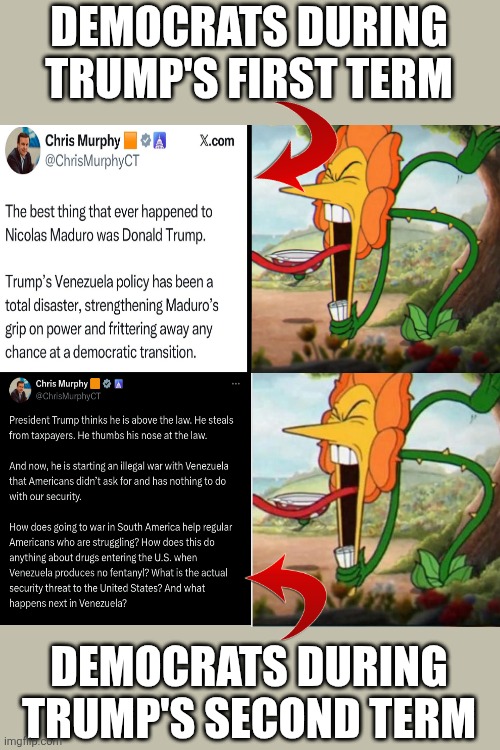 Democrat reactions are a scam | DEMOCRATS DURING TRUMP'S FIRST TERM; DEMOCRATS DURING TRUMP'S SECOND TERM | image tagged in cuphead flower,political meme,venezuela,liberal hypocrisy | made w/ Imgflip meme maker